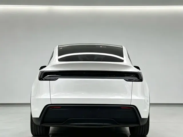 Tesla Model Y — Фото автомобиля 8