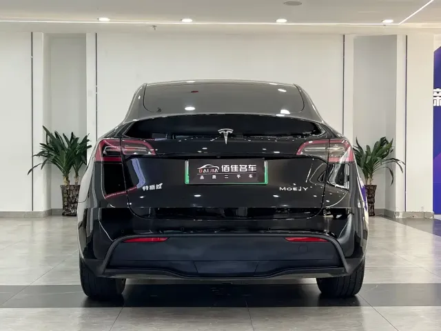 Tesla Model Y — Фото автомобиля 5