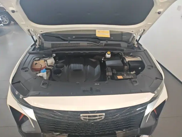 Geely Boyue — Фото автомобиля 19