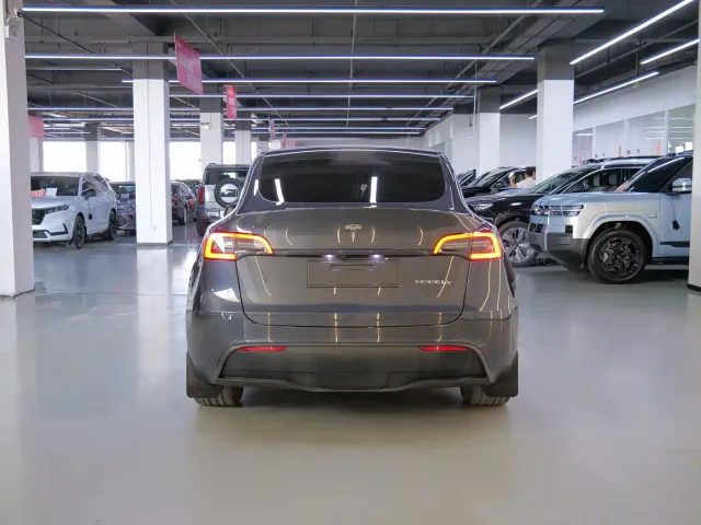 Tesla Model Y — Фото автомобиля 7