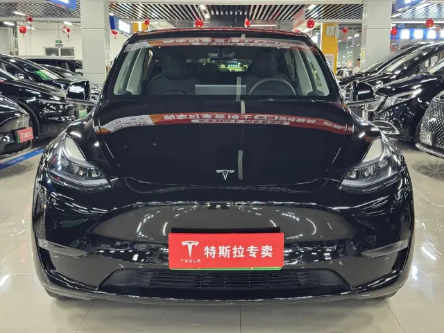 Tesla Model Y — Фото автомобиля 2