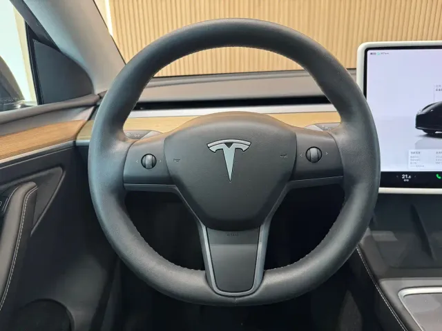 Tesla Model Y — Фото автомобиля 7