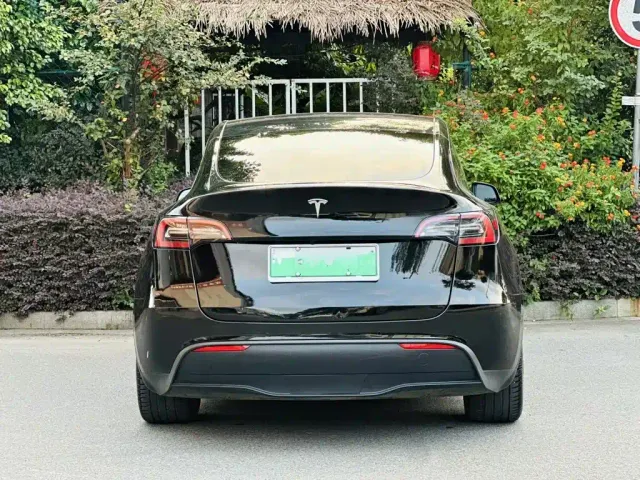 Tesla Model Y — Фото автомобиля 8
