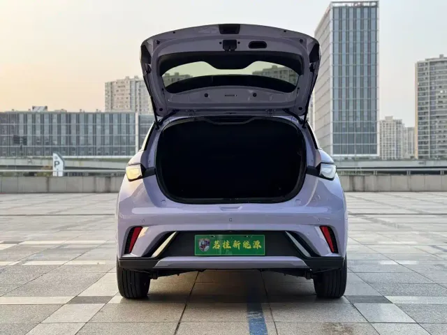 BYD Dolphin — Фото автомобиля 8