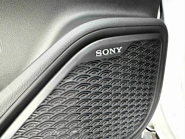 Chery Tiggo 7 PLUS — Фото автомобиля 10