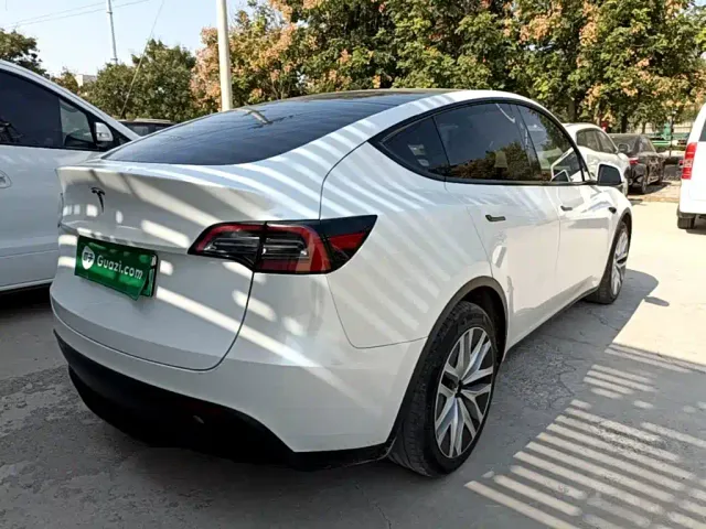 Tesla Model Y — Фото автомобиля 6