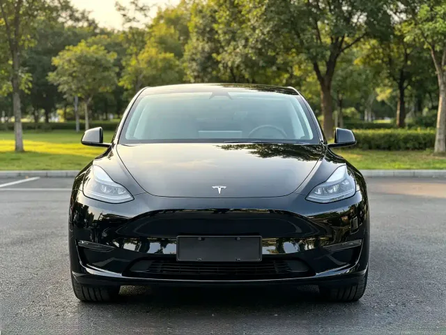 Tesla Model Y — Фото автомобиля 2