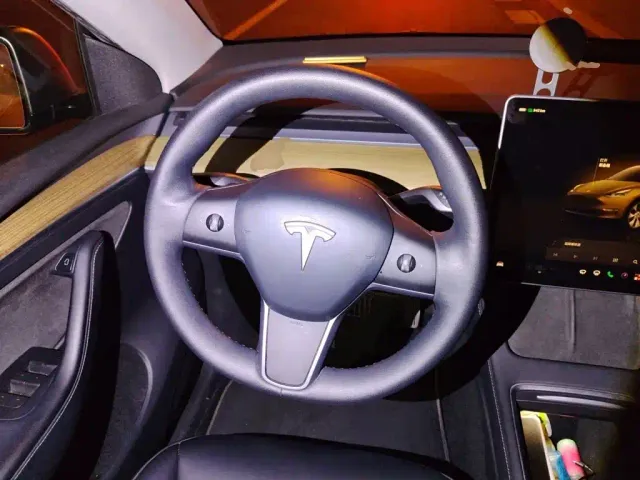 Tesla Model Y — Фото автомобиля 12