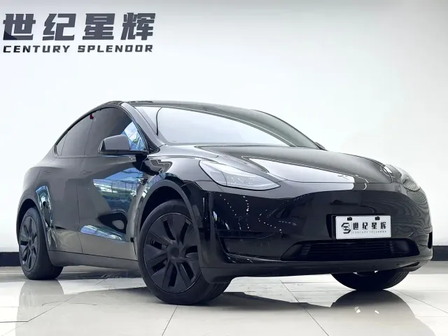 Tesla Model Y — Фото автомобиля 4