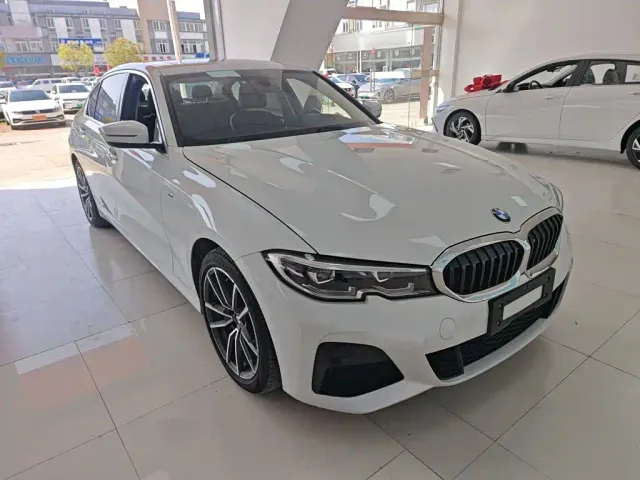 BMW 3 Series — Фото автомобиля 21
