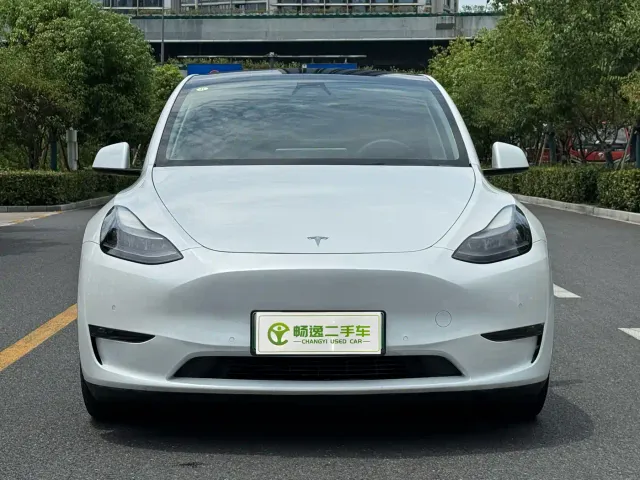 Tesla Model Y — Фото автомобиля 2
