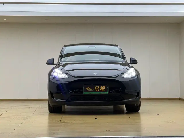 Tesla Model Y — Фото автомобиля 2