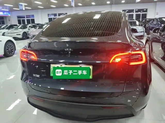 Tesla Model Y — Фото автомобиля 5