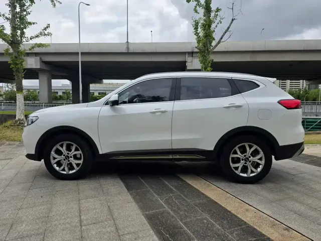Haval Haval H6 2021 Model National Trend Edition 1.5T Auto Champion — Фото автомобиля 4
