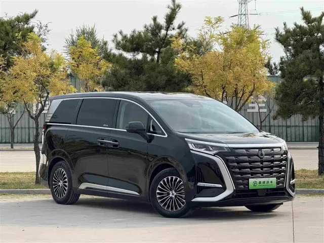 Denza D9 — Фото автомобиля 3