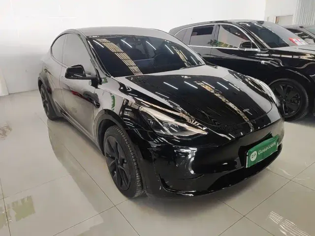 Tesla Model Y — Фото автомобиля 3