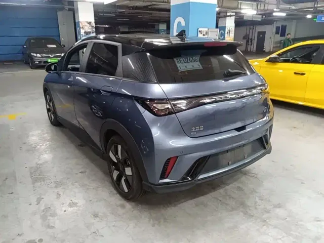 BYD Dolphin — Фото автомобиля 4