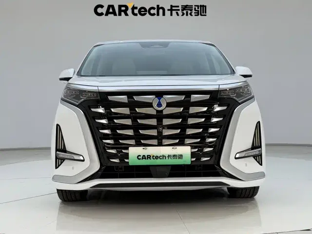 Denza Denza D9 2022 DM-i 970 All-Wheel Drive Honor Edition — Фото автомобиля 3