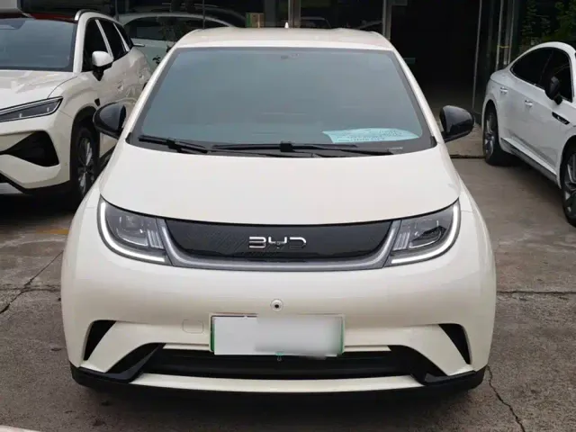 BYD Dolphin — Фото автомобиля 5
