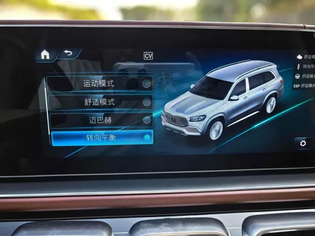 Mercedes-Benz Maybach GLS — Фото автомобиля 15