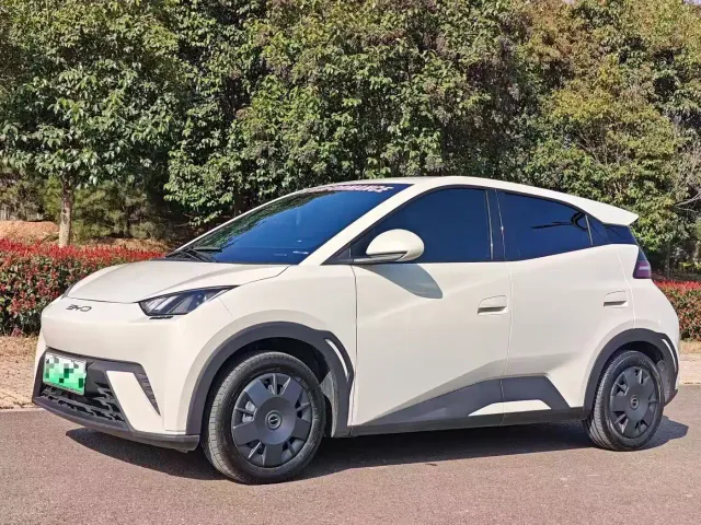 Фотография автомобиля — BYD Seagull