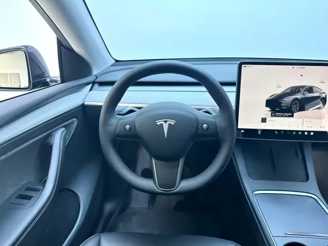 Tesla Model Y — Фото автомобиля 14