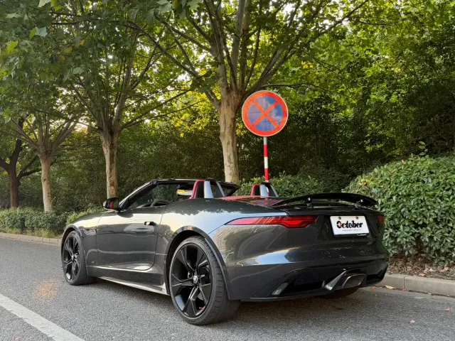 Jaguar F-Type — Фото автомобиля 14