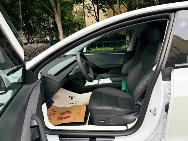 Tesla Model 3 — Фото автомобиля 7