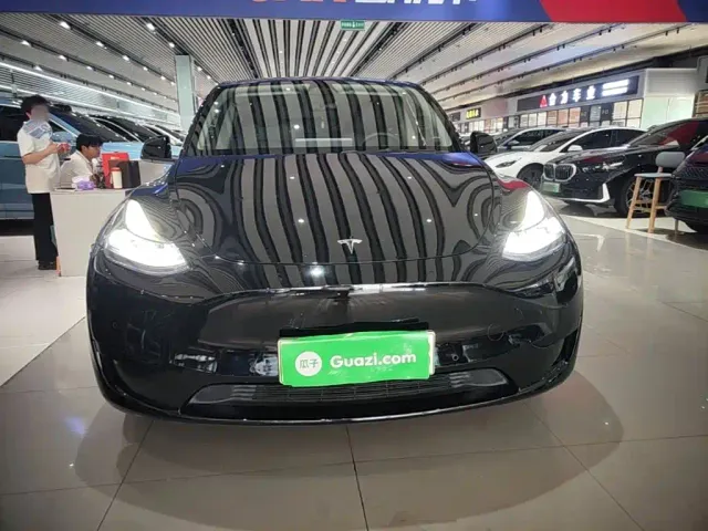 Tesla Model Y — Фото автомобиля 2
