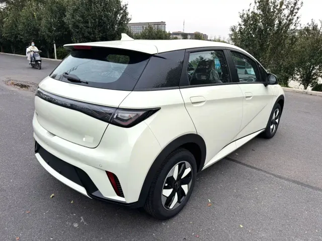 BYD Dolphin — Фото автомобиля 8