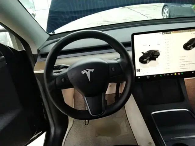 Tesla Model Y — Фото автомобиля 10