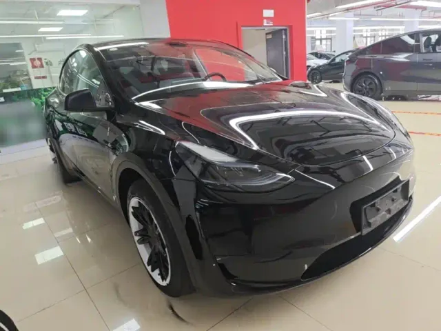 Tesla Model Y — Фото автомобиля 3