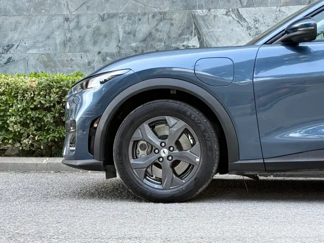 Ford Mustang Mach-E — Фото автомобиля 8