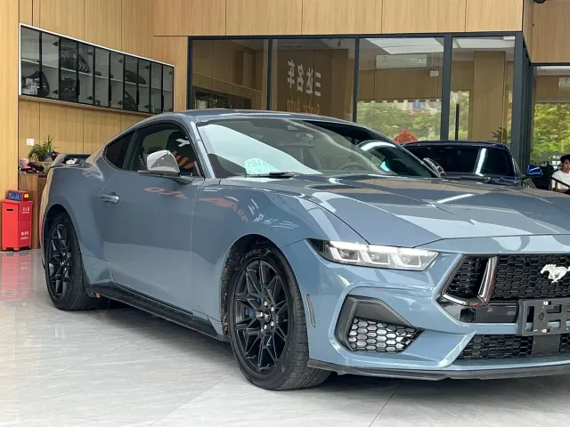 Ford Mustang — Фото автомобиля 11