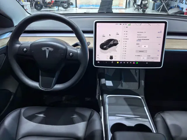 Tesla Model 3 — Фото автомобиля 10