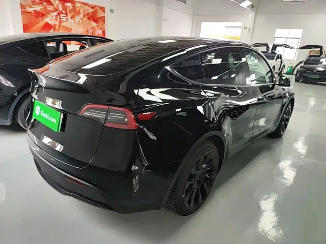 Tesla Model Y — Фото автомобиля 6