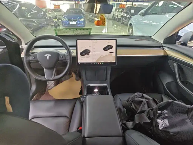 Tesla Model 3 — Фото автомобиля 9