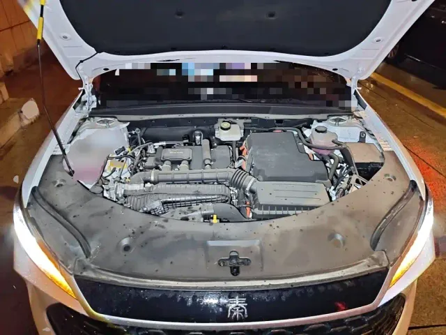 BYD Qin PLUS — Фото автомобиля 16