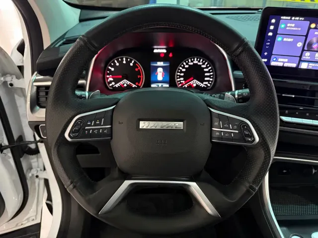 Haval H6 — Фото автомобиля 13