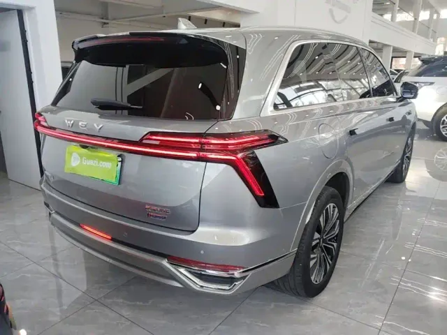 Wey Lanshan — Фото автомобиля 6
