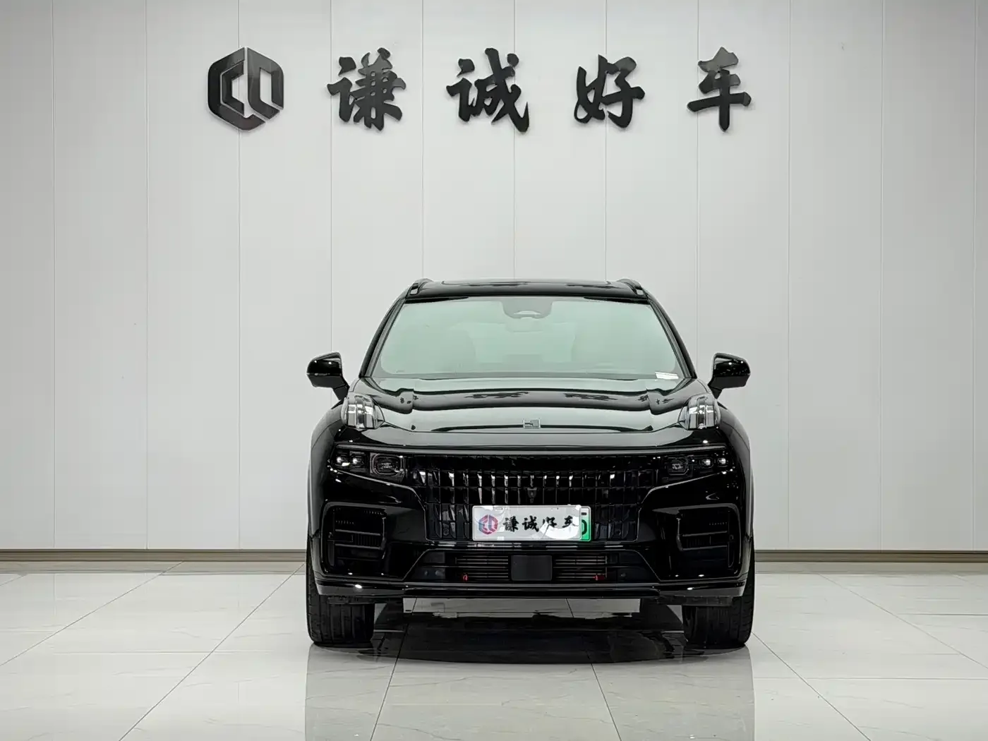 Lynk & Co Lynk & Co 09 EM-P 2023 2.0TD EM-P Voyage PM 7-Seater — Фото автомобиля 2