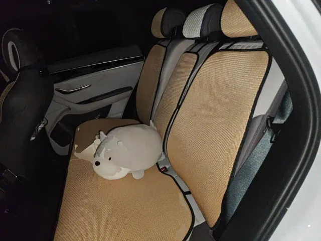 BYD Song PLUS — Фото автомобиля 18