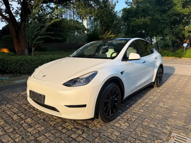 Tesla Model Y — Фото автомобиля 2