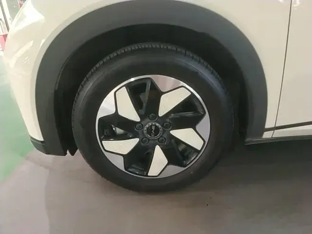BYD Dolphin — Фото автомобиля 22