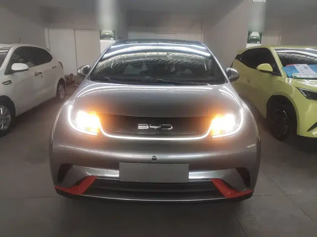 BYD Dolphin — Фото автомобиля 2