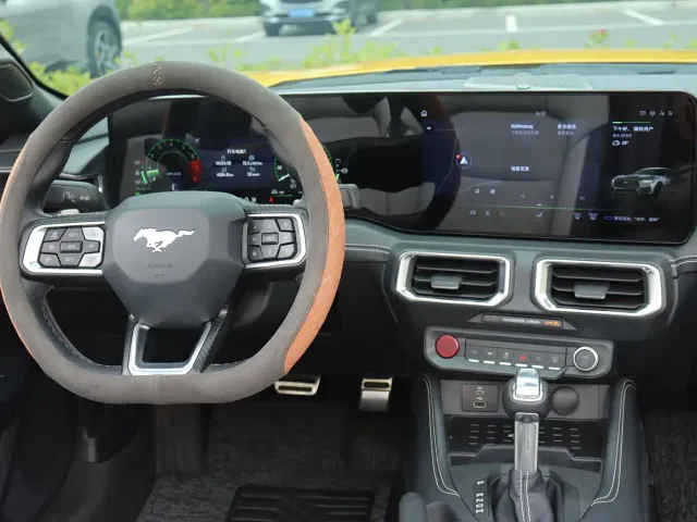 Ford Mustang — Фото автомобиля 16