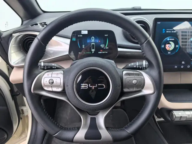 BYD Dolphin — Фото автомобиля 8