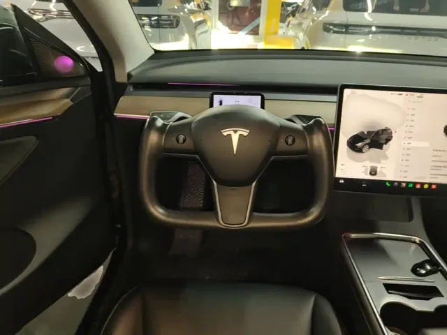 Tesla Model Y — Фото автомобиля 10