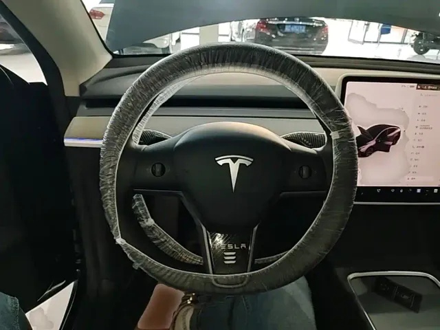 Tesla Model Y — Фото автомобиля 10