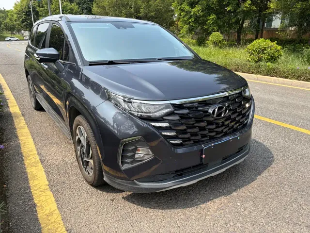 Hyundai Custo — Фото автомобиля 16